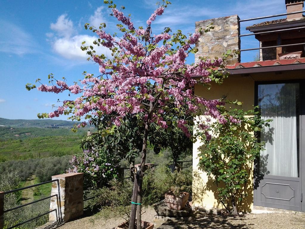 Agriturismo Fattoio Alle Ripe - Frantoio Sant'Ellero Exterior photo