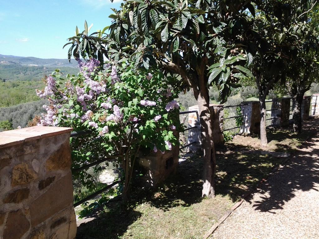 Agriturismo Fattoio Alle Ripe - Frantoio Sant'Ellero Exterior photo